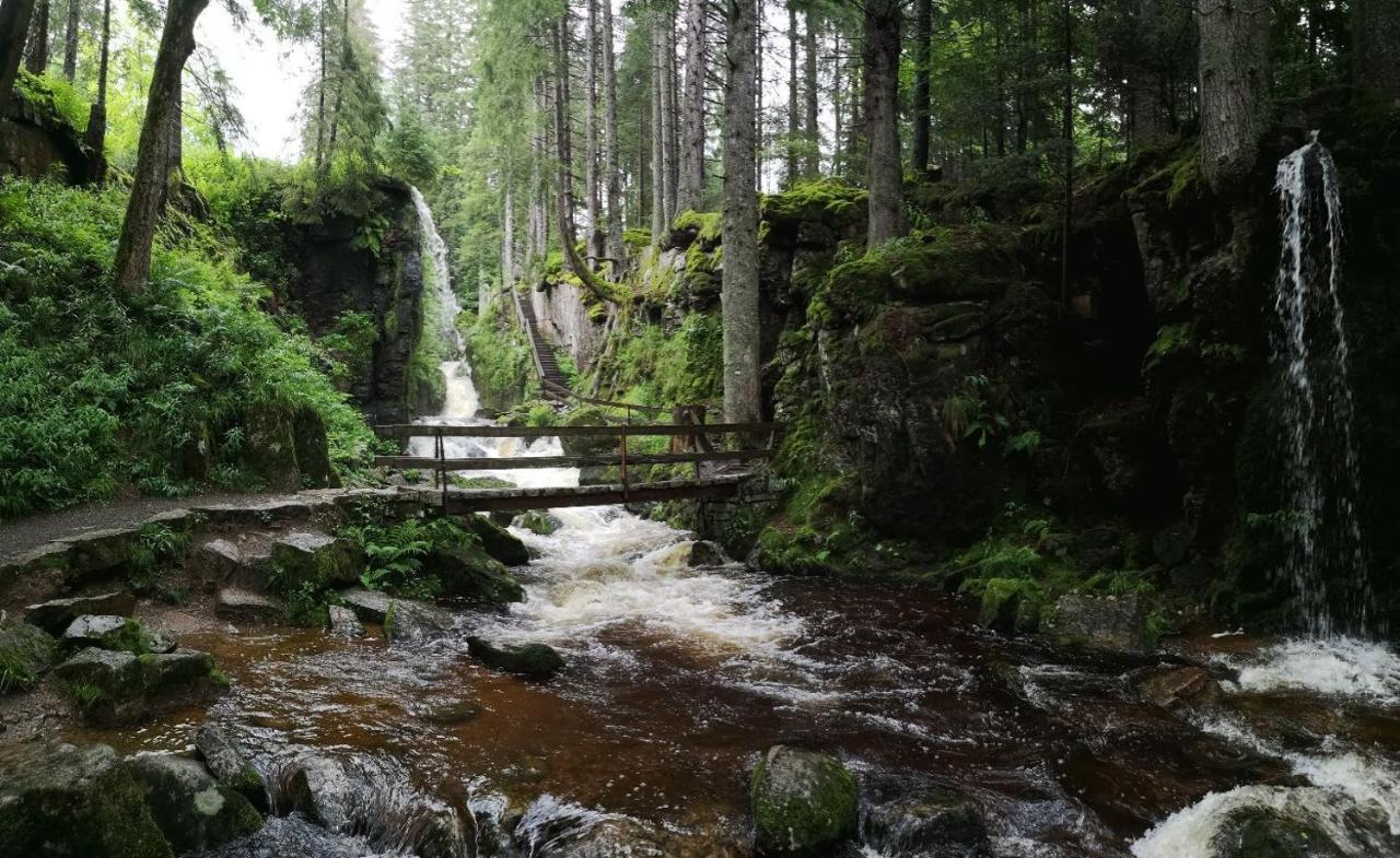 C4 Albmatte-Fewo Sauna, Hallenbad Aussenbecken Massagen Nebenan Menzenschwand-Hinterdorf Exterior foto