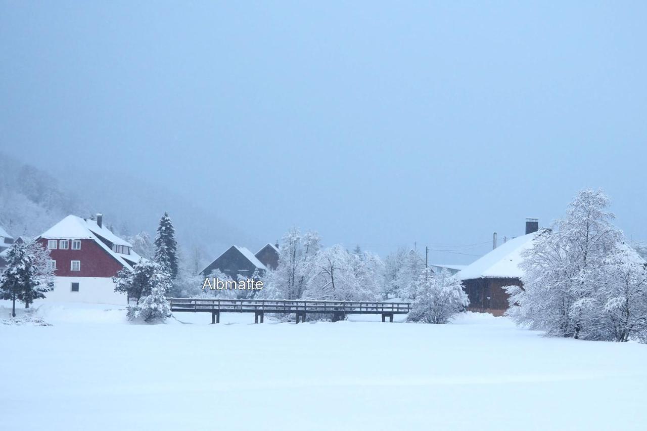 C4 Albmatte-Fewo Sauna, Hallenbad Aussenbecken Massagen Nebenan Menzenschwand-Hinterdorf Exterior foto