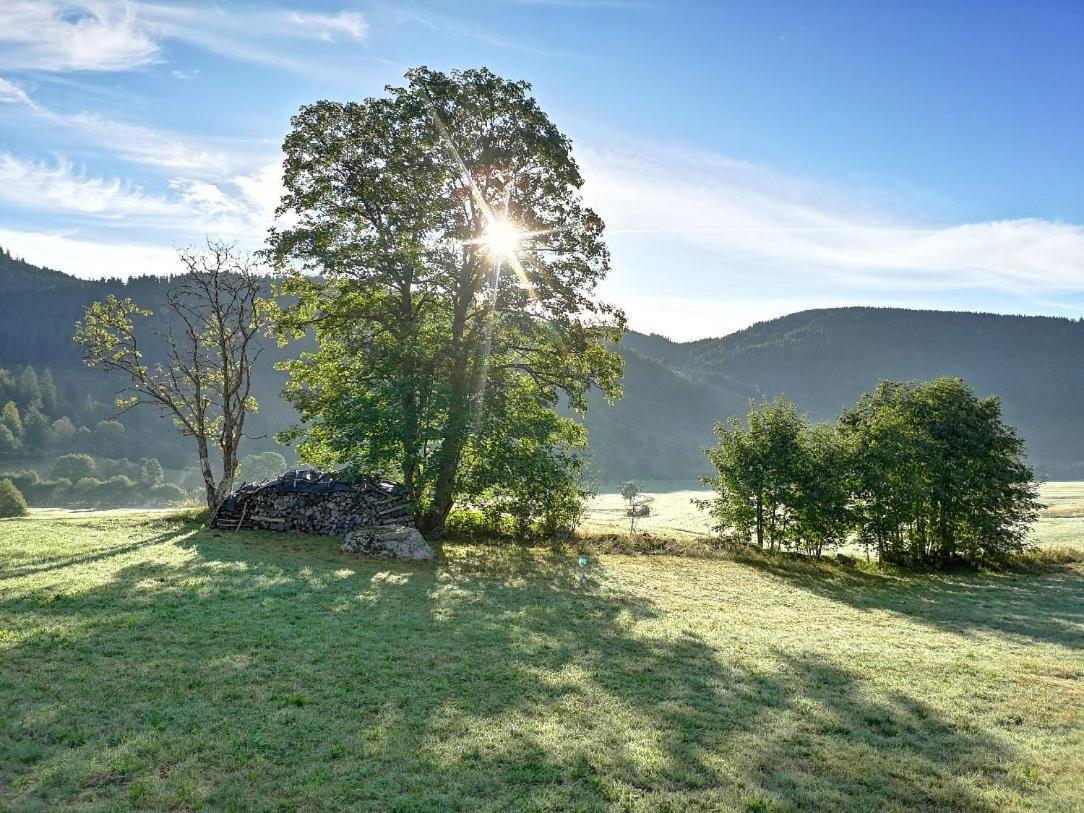 C4 Albmatte-Fewo Sauna, Hallenbad Aussenbecken Massagen Nebenan Menzenschwand-Hinterdorf Exterior foto