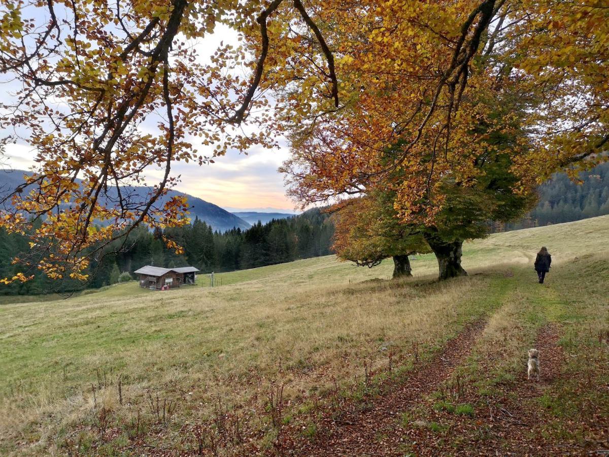 C4 Albmatte-Fewo Sauna, Hallenbad Aussenbecken Massagen Nebenan Menzenschwand-Hinterdorf Exterior foto