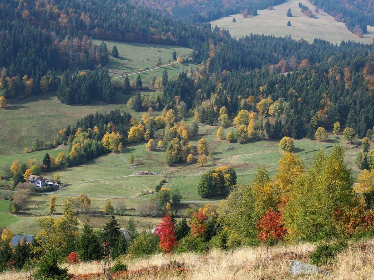 C4 Albmatte-Fewo Sauna, Hallenbad Aussenbecken Massagen Nebenan Menzenschwand-Hinterdorf Exterior foto
