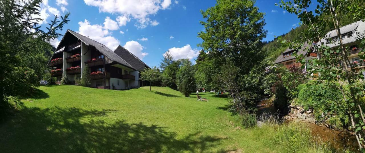 C4 Albmatte-Fewo Sauna, Hallenbad Aussenbecken Massagen Nebenan Menzenschwand-Hinterdorf Exterior foto