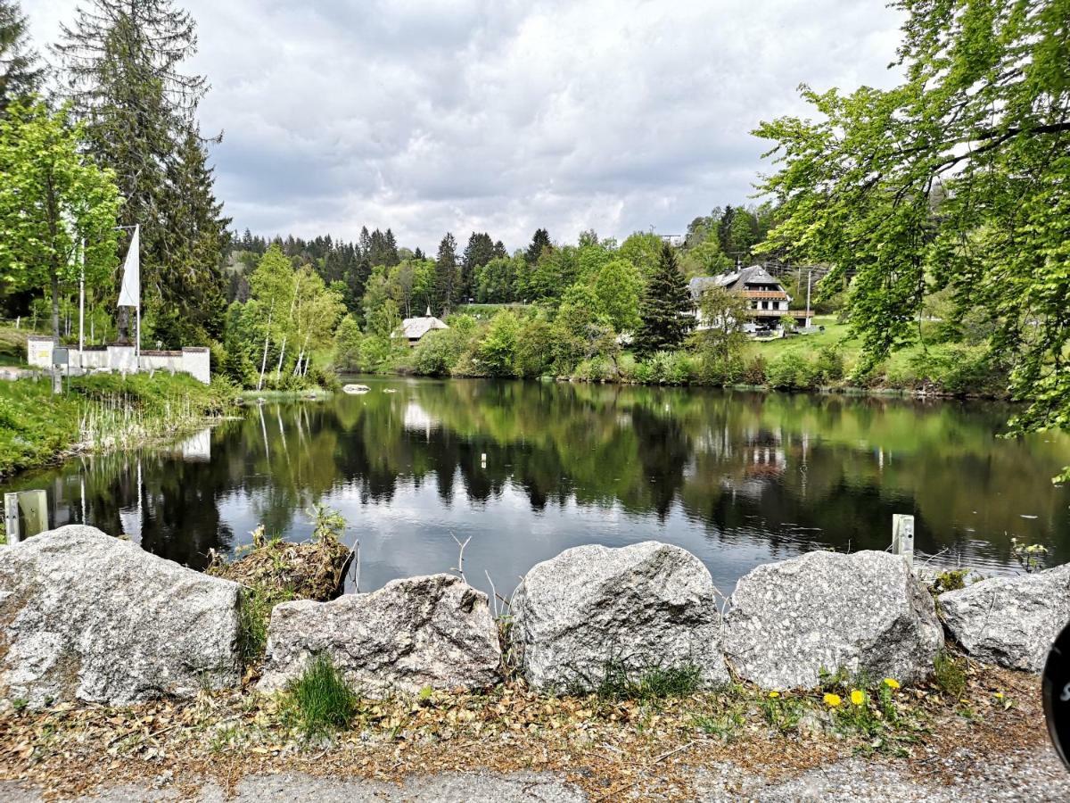 C4 Albmatte-Fewo Sauna, Hallenbad Aussenbecken Massagen Nebenan Menzenschwand-Hinterdorf Exterior foto