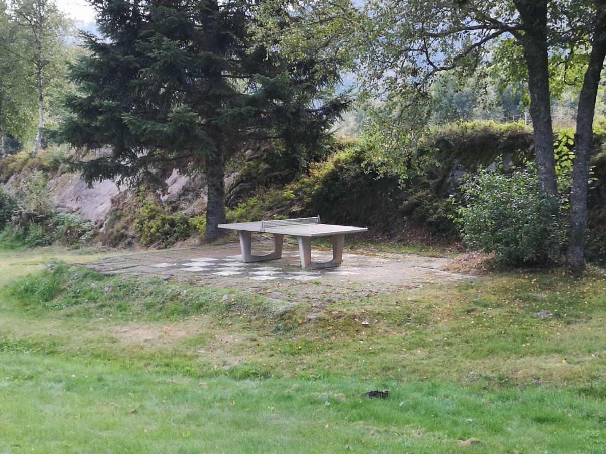C4 Albmatte-Fewo Sauna, Hallenbad Aussenbecken Massagen Nebenan Menzenschwand-Hinterdorf Exterior foto