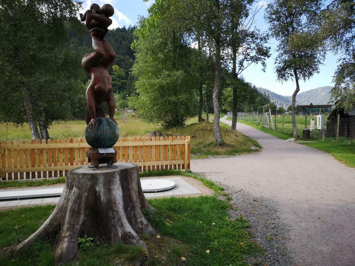 C4 Albmatte-Fewo Sauna, Hallenbad Aussenbecken Massagen Nebenan Menzenschwand-Hinterdorf Exterior foto